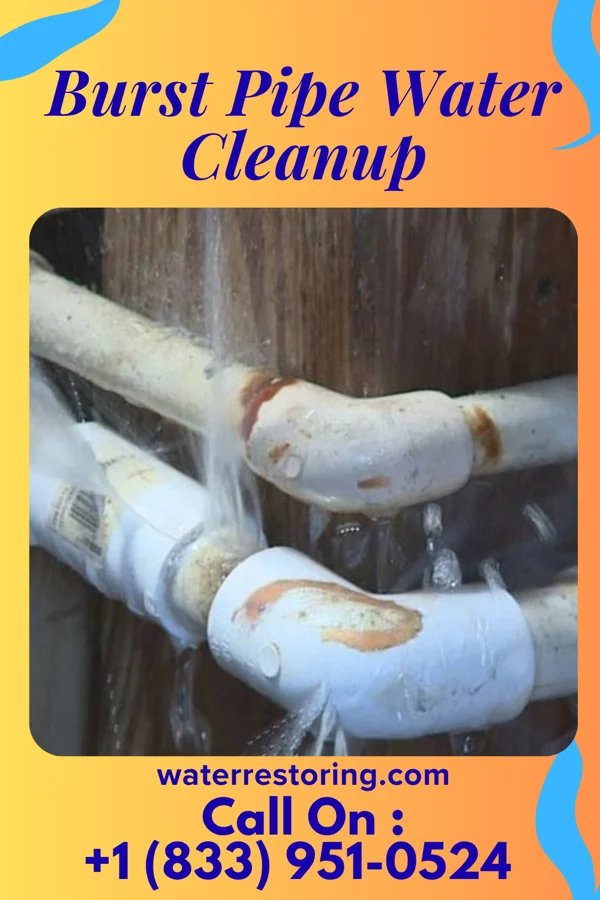 Burst Pipe Water Cleanup in Martinsville, OH