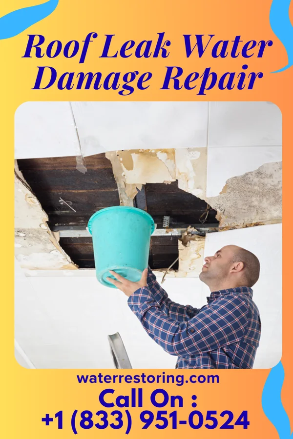 Roof Leak Water Damage Repair in Martinsville, OH