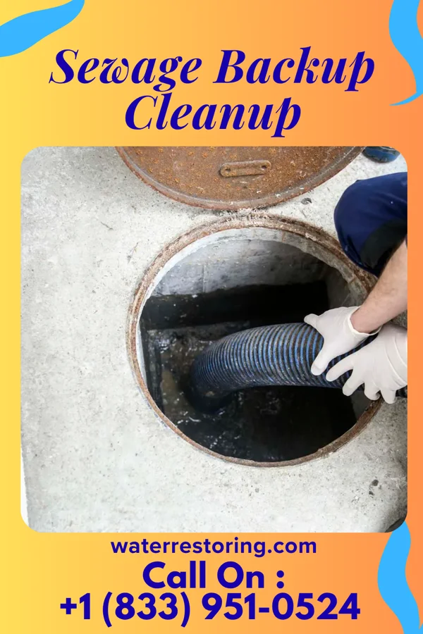 Sewage Backup Cleanup in Martinsville, OH