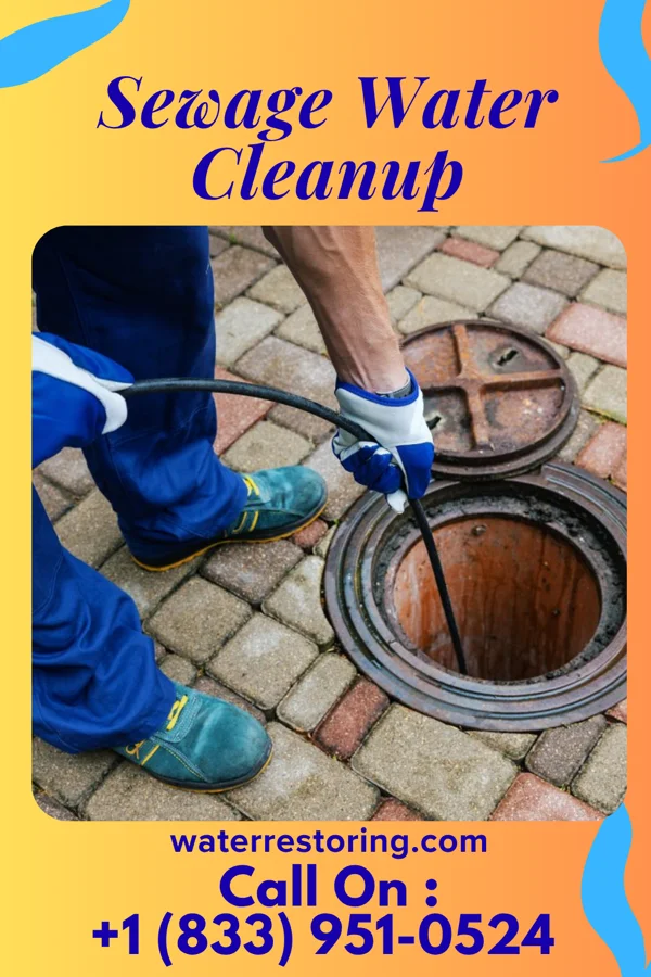 Sewage Water Cleanup in Martinsville, OH