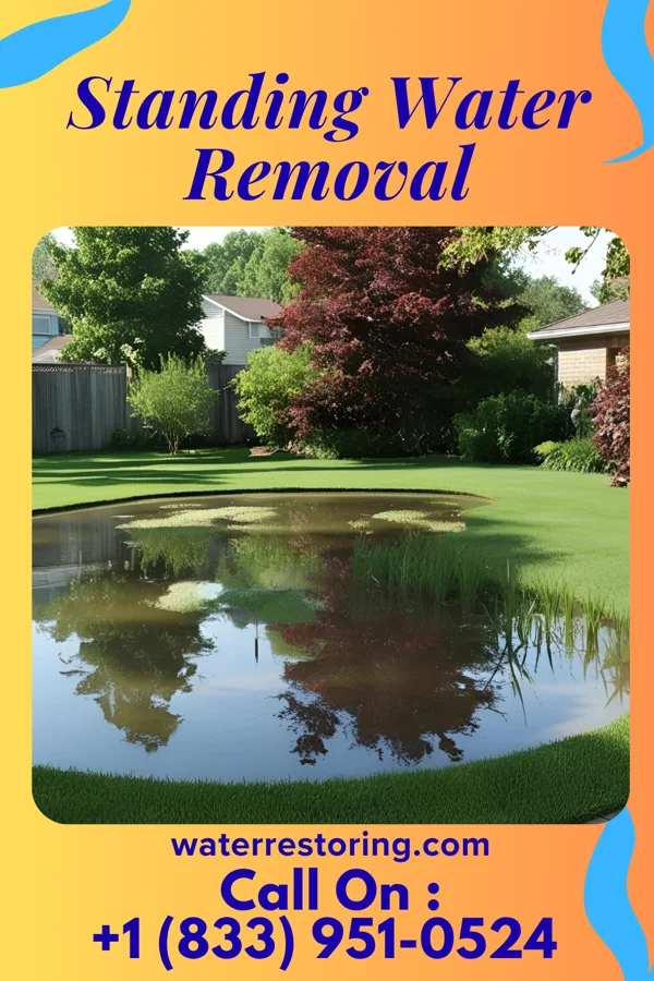 Standing Water Removal in Martinsville, OH